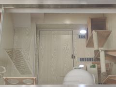 -萌兽医馆·宠物医院·猫骨科(创景店)