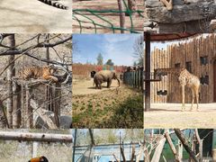 -济南野生动物世界