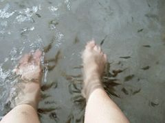 -碧水湾温泉