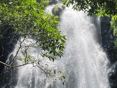 -马峦山郊野公园