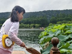 -西湖游船