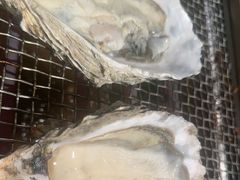 -蚝英雄·鲜蚝自助专门店