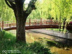 -元大都城垣遗址公园