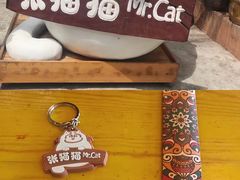 -张猫猫爱吃鱼