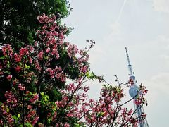 -文华公园(禅城区)