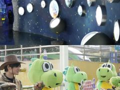 -中国西峡恐龙遗迹园