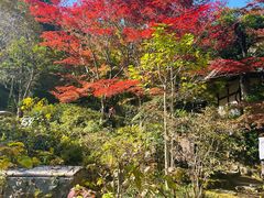 -常寂光寺