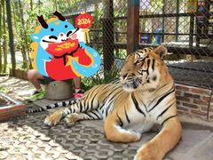 -清迈夜间动物园