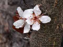 -外高桥保税区南(地铁站)