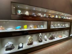 -陕西自然博物馆