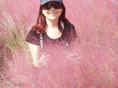 -羊亭河湿地公园