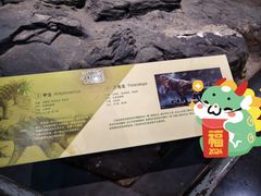 -天津自然博物馆