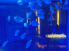 -上和臻品中国菜(花园街店)