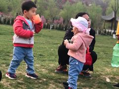 -渭南桃花源民俗文化园