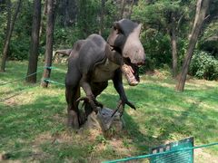 -原山国家森林公园