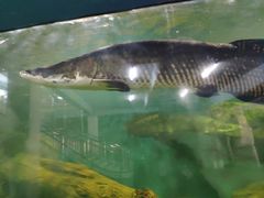 -泉州海丝野生动物世界