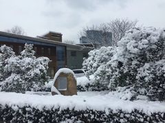 -白塘生态植物园