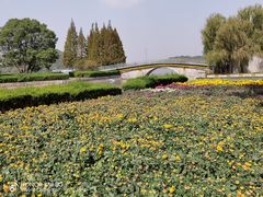 -上海月湖雕塑公园