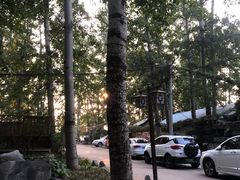 -尚庄度假村·庭台树下·户外烧烤·团建CS·轰趴营地(上庄水库店)