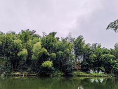 -蜀南竹海景区