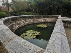 -习家池
