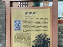 -潭柘寺景区