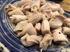 羊肚仁-金生隆(六铺炕店)