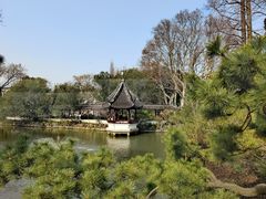 -上海醉白池公园