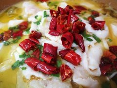 酸菜鱼-做了不起的80后