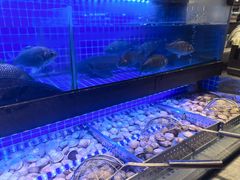 -火焰里烤肉自助(南充王府井店)