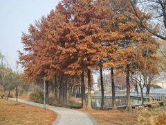 -长广溪湿地公园