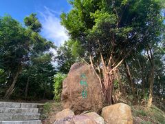 -梧桐山风景名胜区