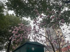 -阿杜打边炉(五江天街店)