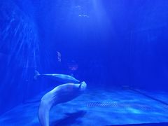 -多彩贵州城极地海洋世界