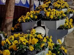 -咸阳湖景区-古渡公园