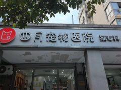 -四月宠物医院·猫专科·心脏专科·内科(转塘店)