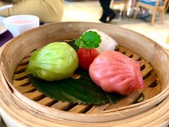 -点都德·毕德寮