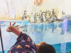 -太平洋海底世界