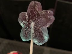 -星辰9号幻影会