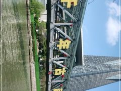 -运河游船(武林门码头)