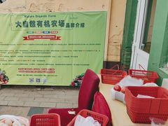 -大自然农场蔬菜草莓采摘园