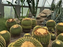 -北京植物园-展览温室