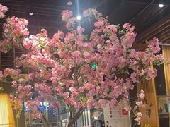 -九井澤精致料理(金茂店)