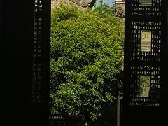 -梦溪园(中营街)