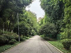 -重庆彩云湖湿地公园