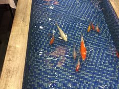 -盆满钵满·国家非遗传承(云台店)