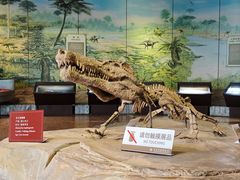 -自贡恐龙博物馆