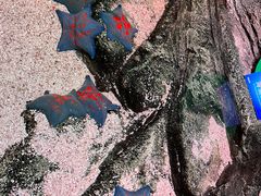 -沈阳海洋探索中心