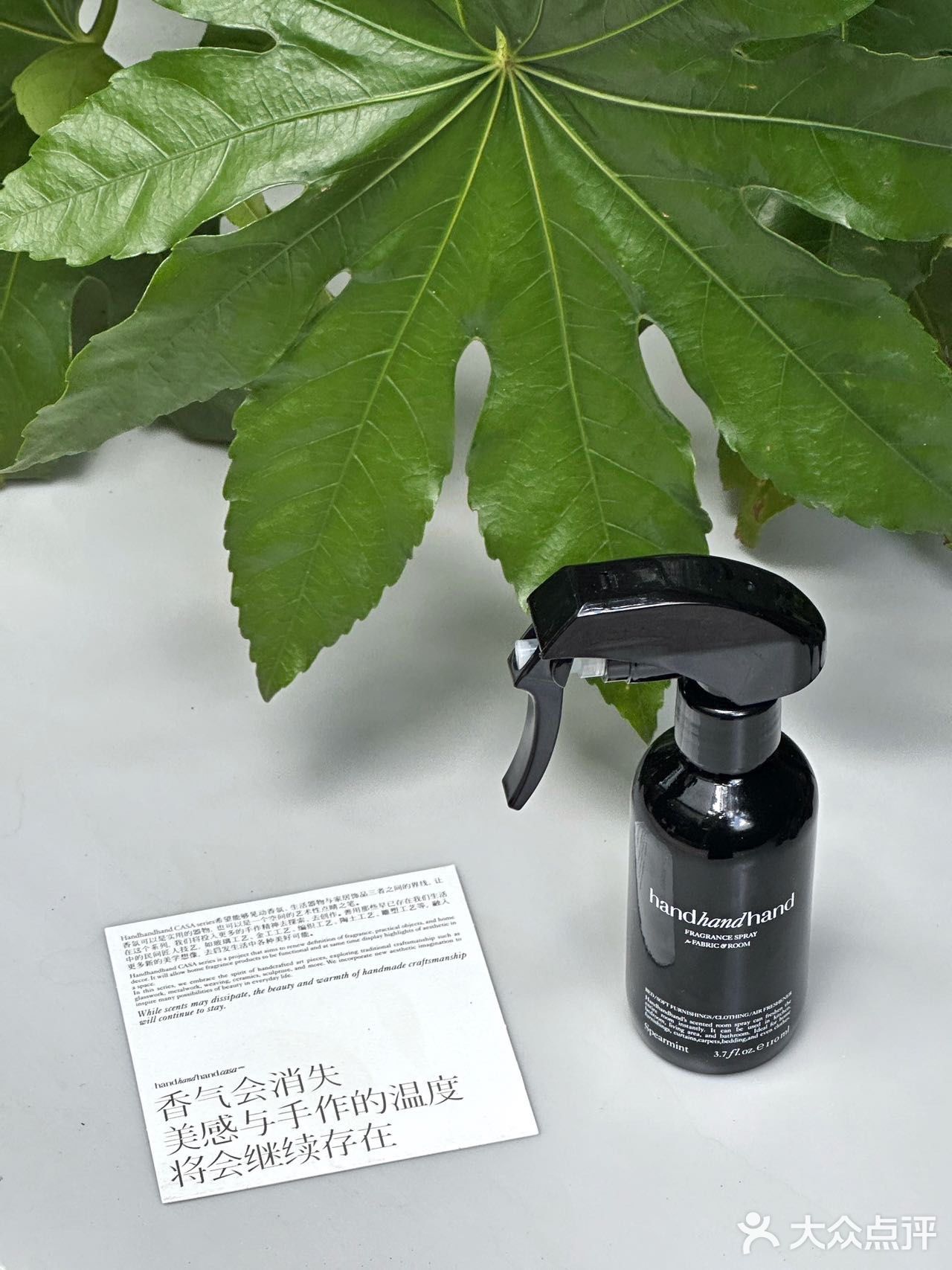 在上海 恋上绿薄荷味儿的夏天🍃