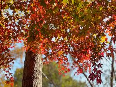 -溪口-滕头旅游景区